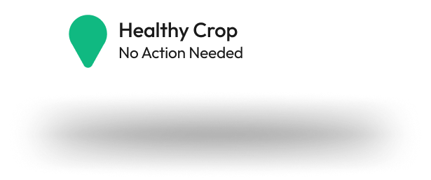 Healthy Crop