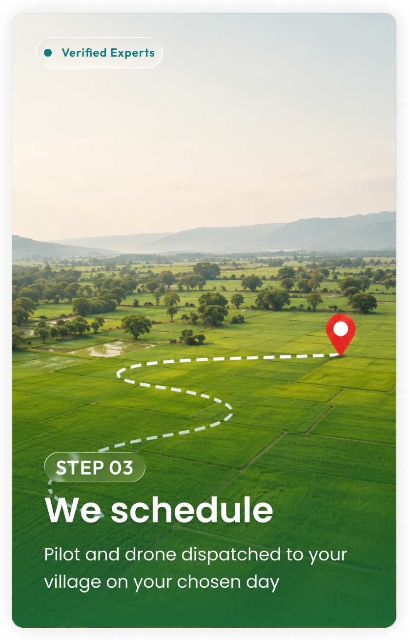 Step 03 - We schedule