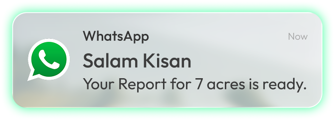 WhatsApp Notification